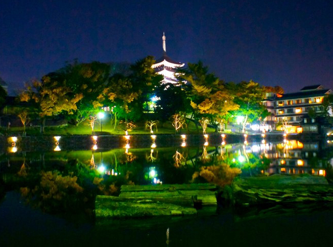 夜のライトアップが圧巻の興福寺五重塔